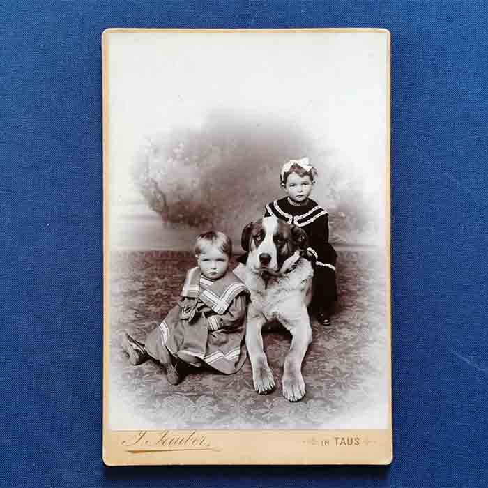 Kinder mit Bernhardiner-Hund, alte Fotografie