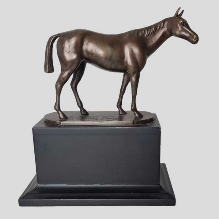Pferd, Bronze, Kincsem Award, AROC